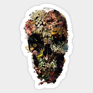 Smyrna Skull Sticker